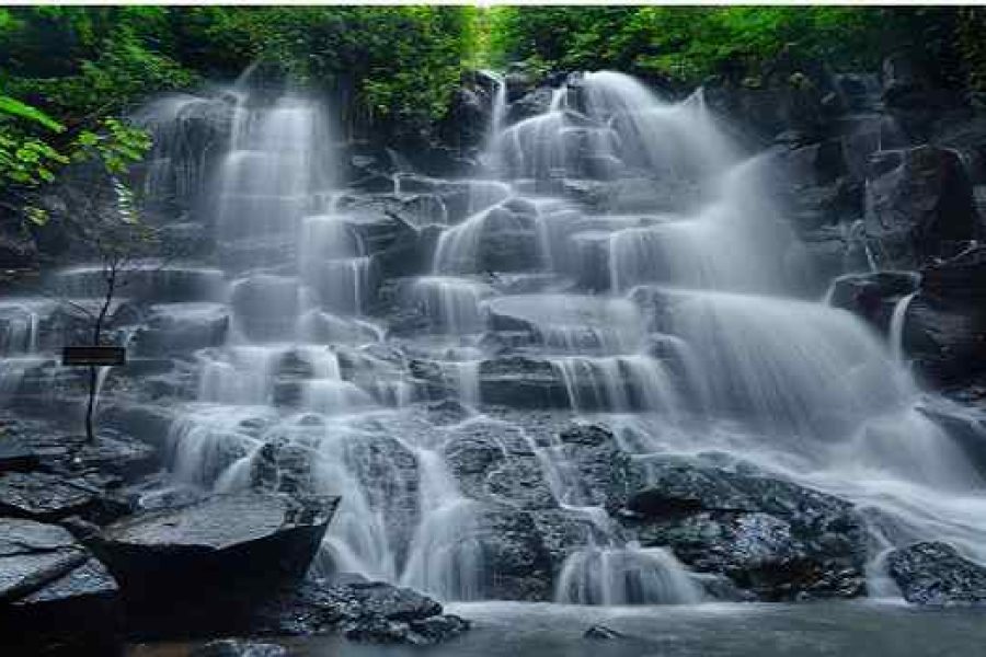 Waterfall Ubud Rice Terrace Tour